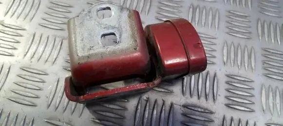 Renault Megane II Rear door lower hinge