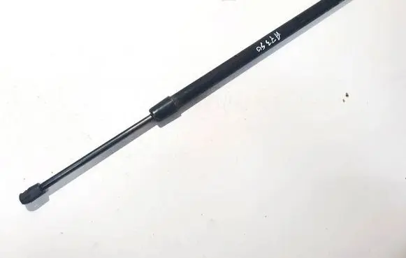 Chrysler Pacifica Tailgate/trunk strut/damper