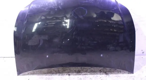 Fiat Sedici Engine bonnet/hood