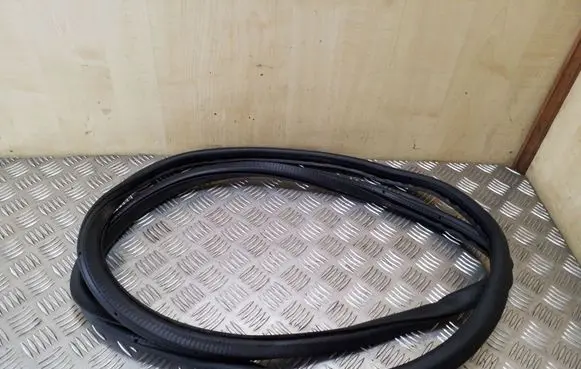 Volkswagen PASSAT B7 Rear door rubber seal (on body) 3C9867913B