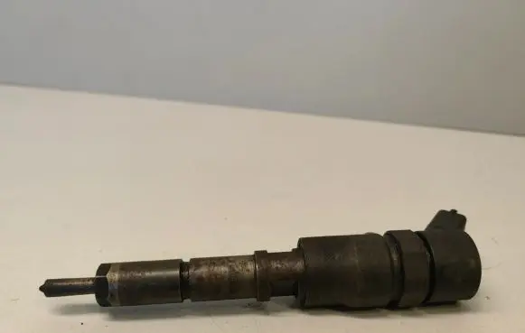 Suzuki Grand Vitara II Fuel injector 0445110008 9635196580