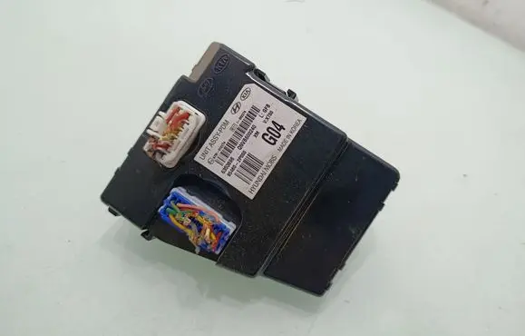 KIA Sorento Door control unit/module 954602P000