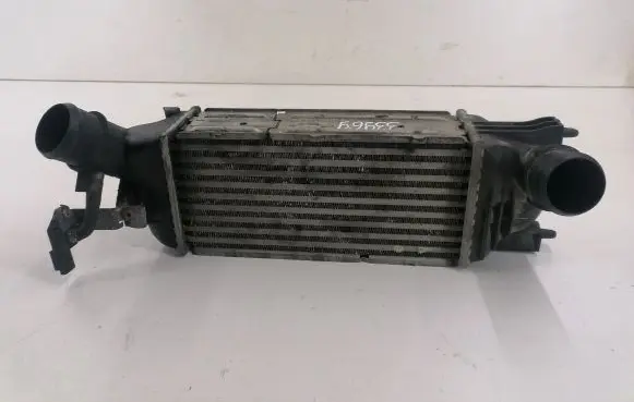 Citroen C5 Intercooler radiator 9650613280 876941V