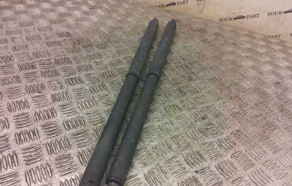 Opel Insignia A Tailgate/trunk strut/damper 13441810