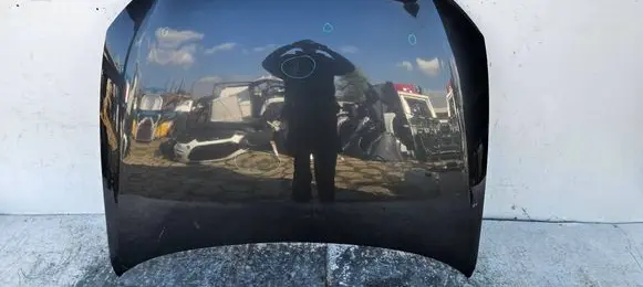 Engine bonnet/hood