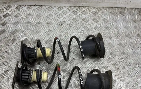 Rear coil spring