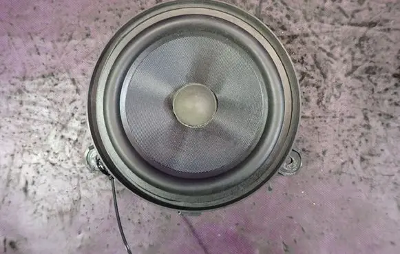 Renault Laguna III Front door speaker