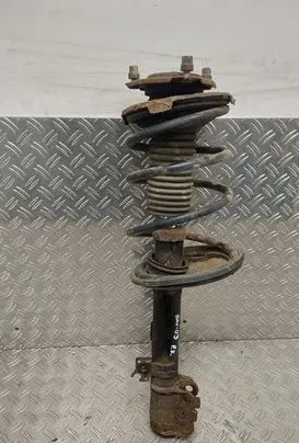 Toyota RAV 4 (XA20) Front shock absorber/damper