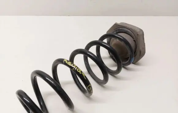 Renault Kadjar Rear coil spring