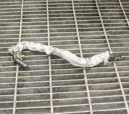 Audi Q7 4M Engine coolant pipe/hose