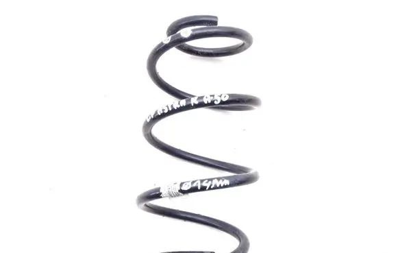 Mitsubishi Pajero Front coil spring 