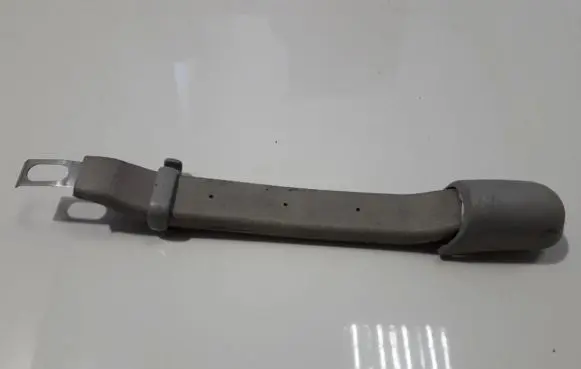 Chevrolet Epica Rear interior roof grab handle