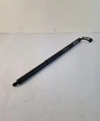 Ford Puma Tailgate/trunk strut/damper L1TBS404C84AA