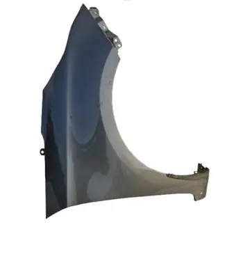 KIA Carens IV Fender