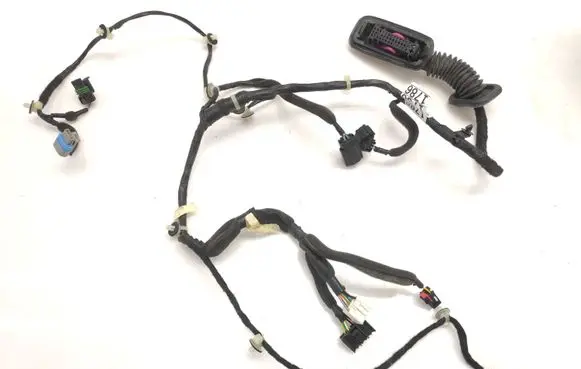 Front door wiring loom