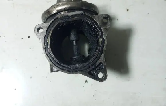 Skoda Octavia Mk2 (1Z) EGR valve 038131501AF