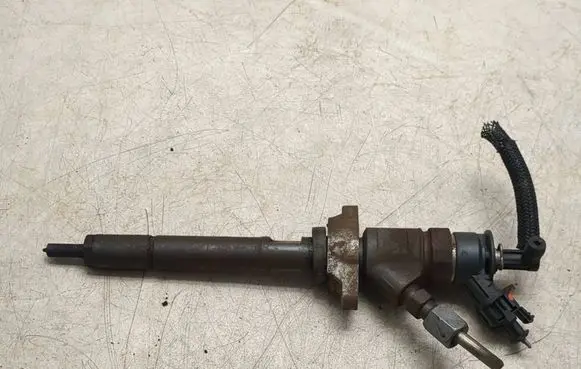 Citroen C3 Fuel injector 0445110311