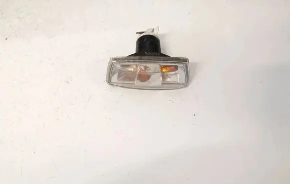Front fender indicator light
