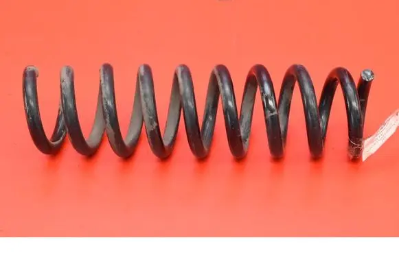 Rear coil spring