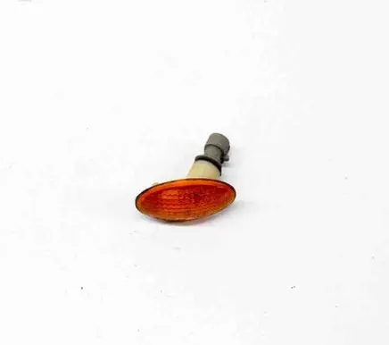 Front fender indicator light