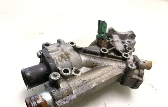 Thermostat/thermostat housing