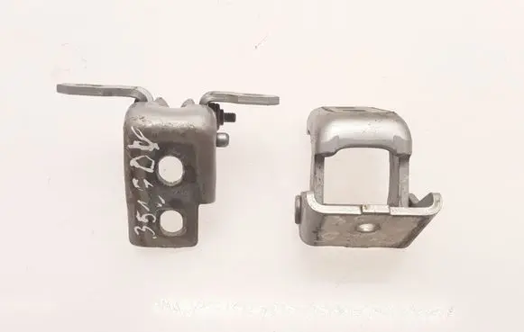 Renault Megane III Rear door hinge set 804200003RG