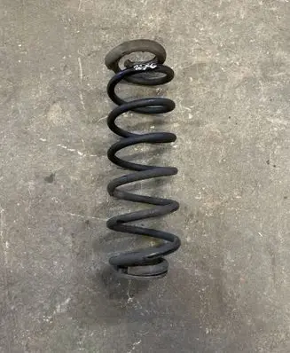 Rear coil spring