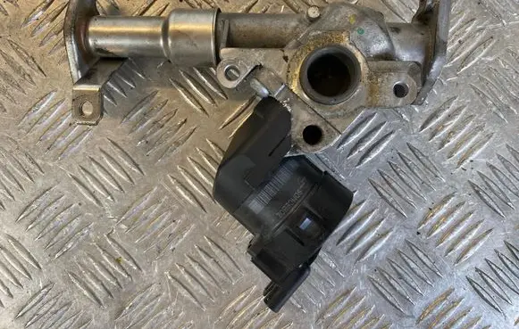 EGR valve