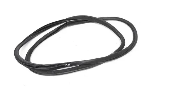 Infiniti Q50 Rubber seal rear door 