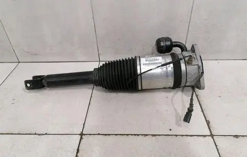 Bentley Mulsanne Rear shock absorber with coil spring 3W8616001