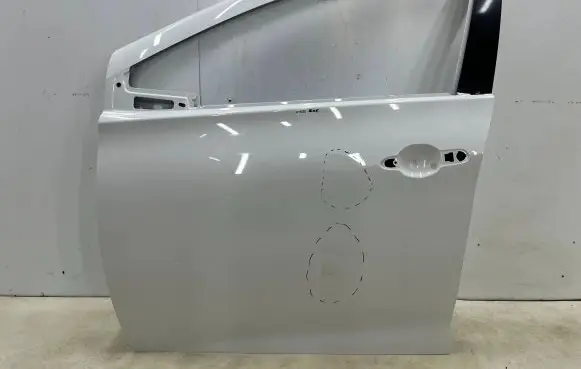 Renault Zoe Front door 801532090R