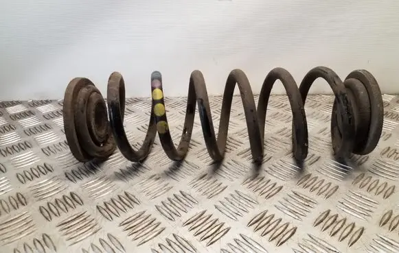Volkswagen PASSAT B7 Rear coil spring