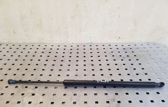 Tailgate strut