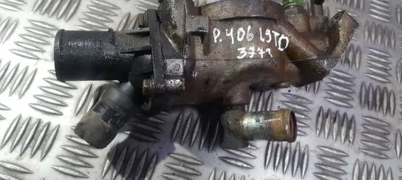 Peugeot 406 Engine coolant pipe/hose
