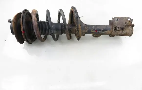 Hyundai Tucson JM Front shock absorber with coil spring 