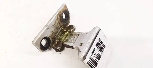 Rear door lower hinge