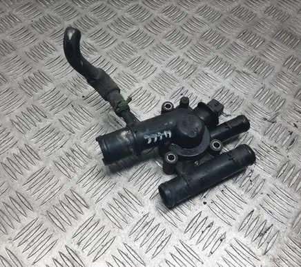 Thermostat/thermostat housing