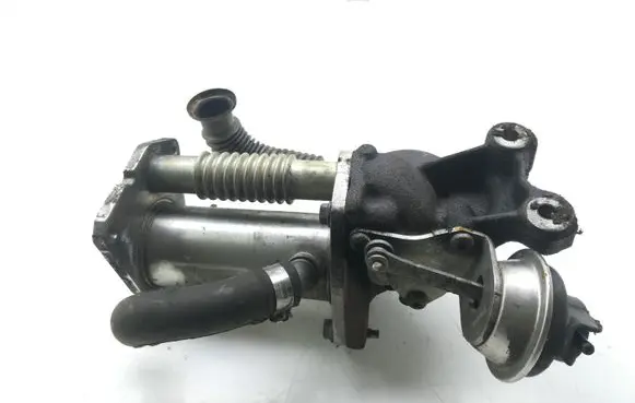 Dacia Sandero EGR valve cooler 147356133R 171014C