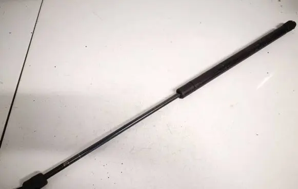 Tailgate/trunk strut/damper