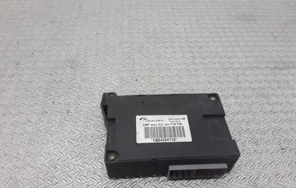 Nissan Primera Other control units/modules ED24234710