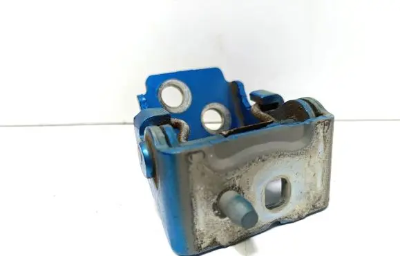 Citroen C3 Picasso Rear door lower hinge