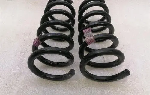 Ford Mustang VI Rear shock absorber with coil spring FR3C5560HC