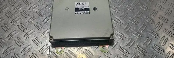 Hyundai H-1, Starex, Satellite Engine control unit/module 3910042210 97124 4079131652