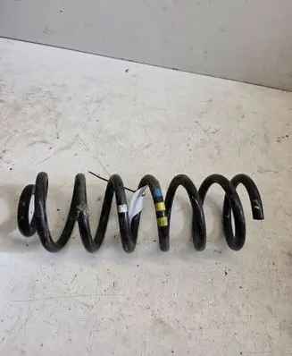 Jaguar XE Rear coil spring 1234
