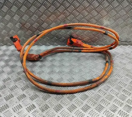 Tesla Model 3 Other wiring loom 110900300E