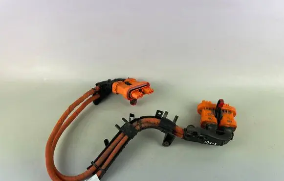 Volkswagen ID.4 Other wiring loom 1EA971015AA 1EA973733