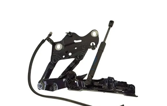 BMW X7 G07 Engine bonnet/hood hinges 7418202