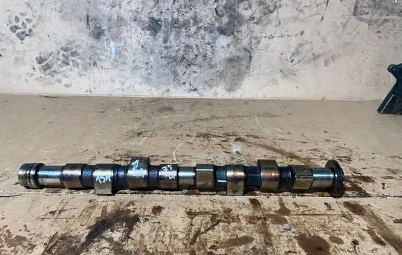Fiat Punto (188) Camshaft 3E9A