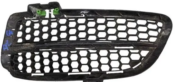Front bumper lower grill