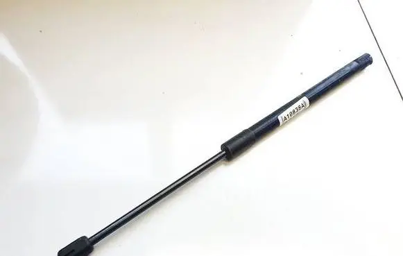 Tailgate/trunk strut/damper